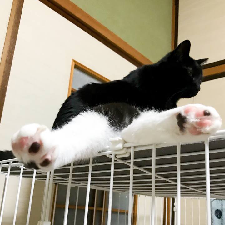 6df48968 7da0 4ce1 b652 32c97a986905 1522331428712