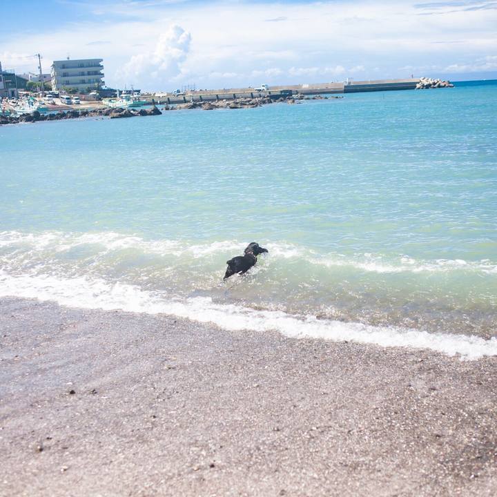 6df49e74 41df 41a1 b744 29b5704ef91e 1599304683972