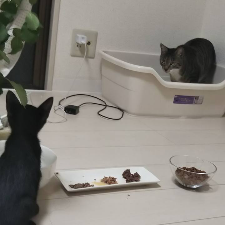 6df505c0 af9b 461b a67a cfd69b922957 1614182551140