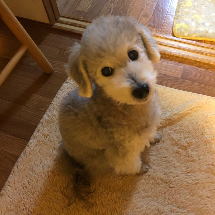 6df50b22 ec64 4e01 8f04 68bce54dbb77 1577200333737