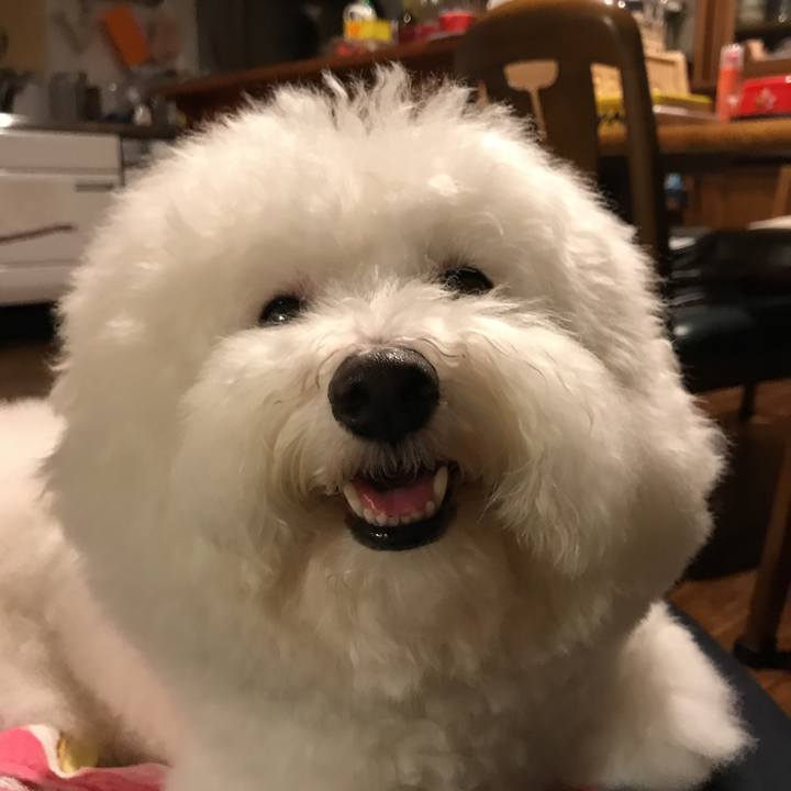 6df510ab 9bb8 4f78 9a00 830c27c0af4b 1538305737759