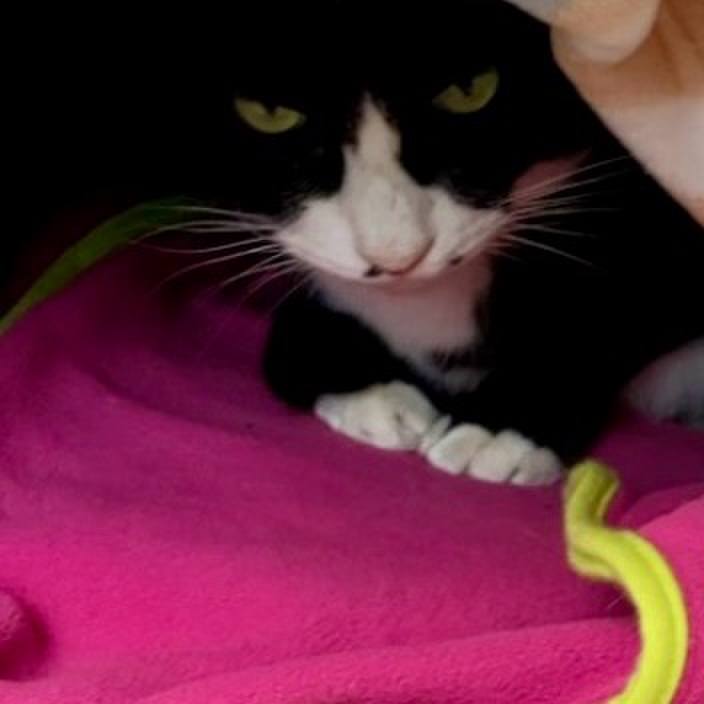 6df512b7 fe54 4b7d 9ebc b1b030ddfa0a 1736855152200