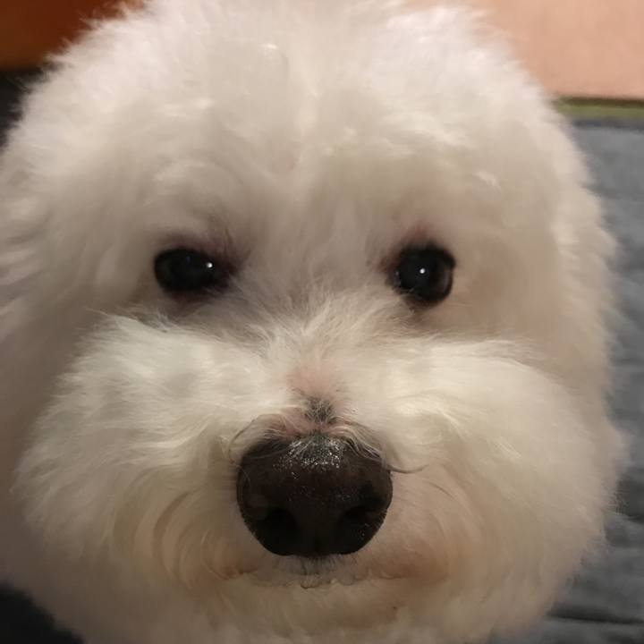 6df53225 e034 4e74 b21f e65faeec9b0e 1538289500288