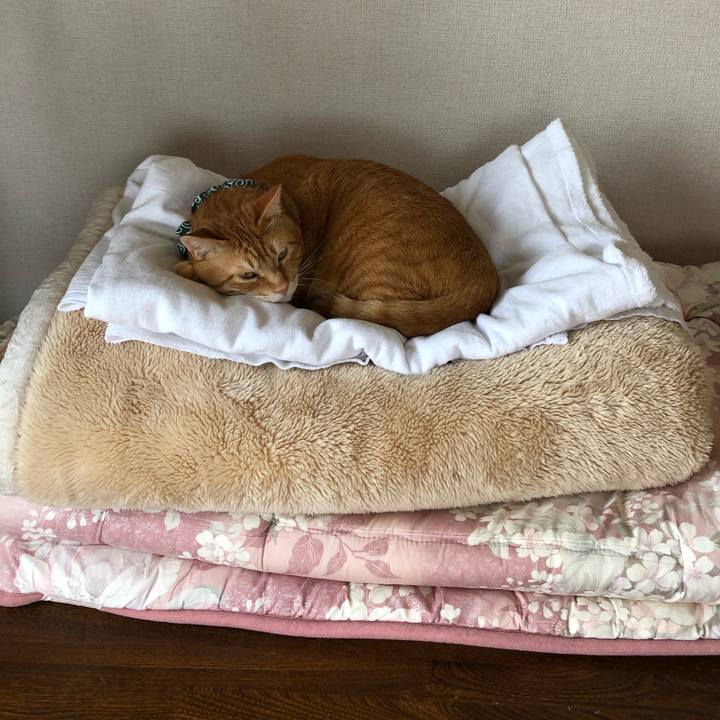 6df56d75 29ba 47e2 aaed aaf6ade58b46 1557113588076