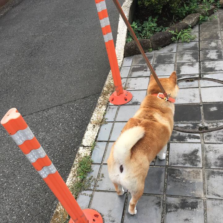 6df59d29 8f53 4360 b5ef 84ac9e18dbbf 1599957529013