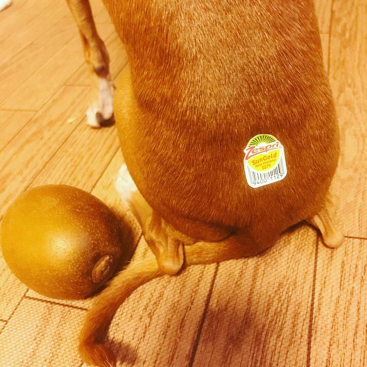 6df62f81 a069 4be6 866a ff877d23042c 1523851831751