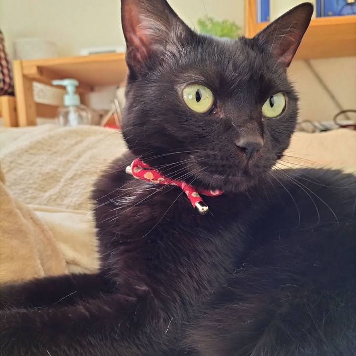 6df63c3d 5e02 407c a311 0104b11ac1ec 1648336904417