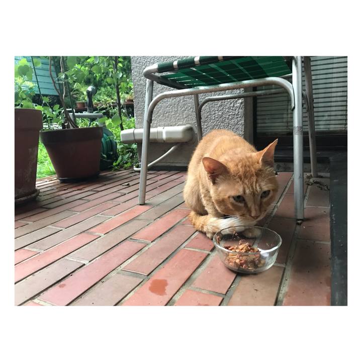 6df645fd a6ef 4f88 a432 3507b01eeff8 1657963435165