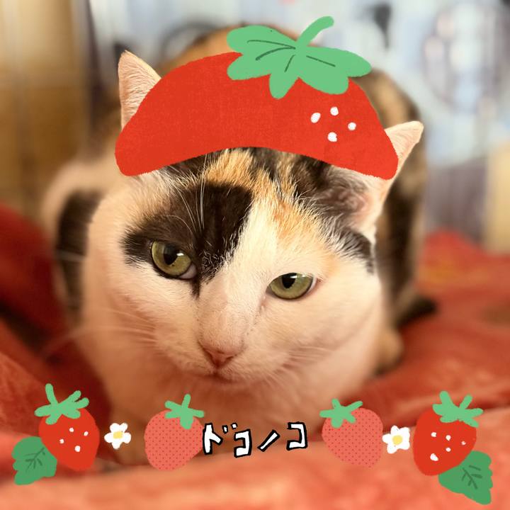 6df6631f 38ed 4699 bcd2 0a07140e3fb8 1775264952103