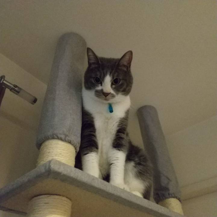 6df6688e fadd 4a69 8838 eab4bd96742f 1647182238468