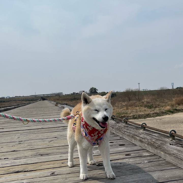 6df6cadc 0ec1 4470 b913 5de09e15beff 1647214397153