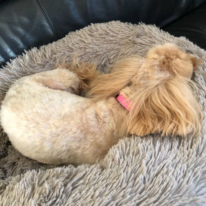 6df6d3a9 47be 49c5 a5ba 482e8224652d 1672289749944