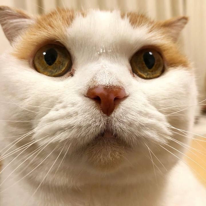 6df6ede2 9734 4e01 ba46 0b79b3417014 1770561828789