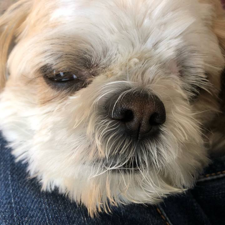 6df7066d 7ceb 4bbc 8a68 19bb606b0e0e 1616018096220