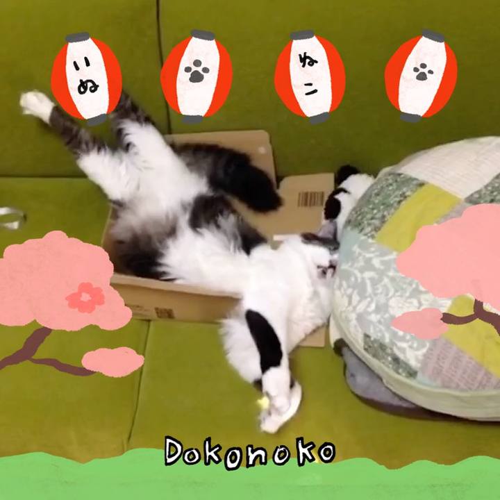 6df74d90 0f6f 42f6 96c7 f930a7bb8111 1712359018098