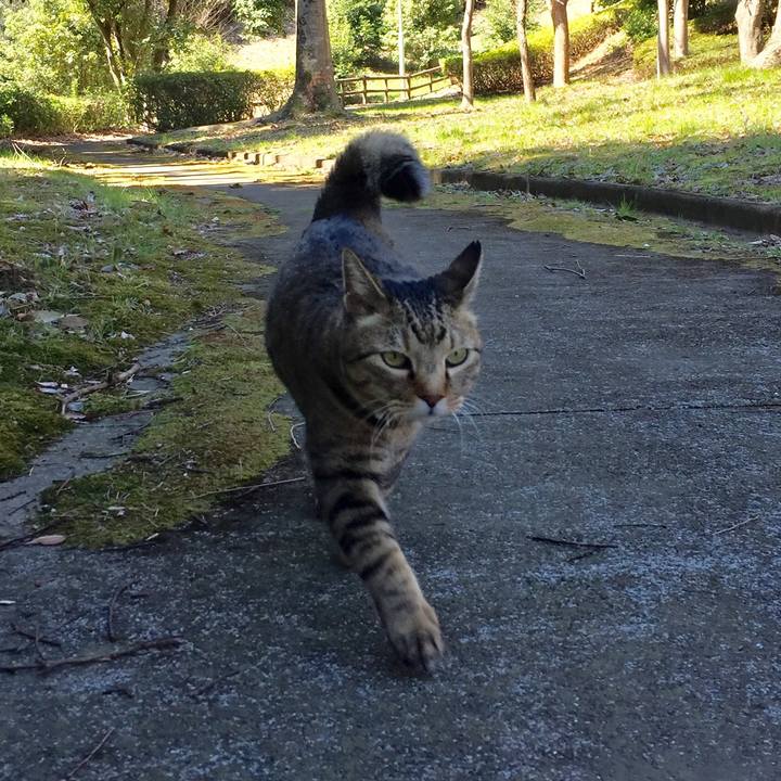 6df74fd2 448e 4f5f 8e4a eef4b362aefa 1553416447563