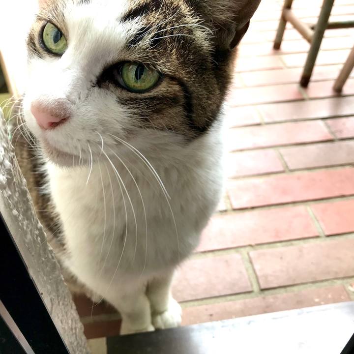 6df75367 ebd6 4554 8505 f623c3844f78 1581742695279