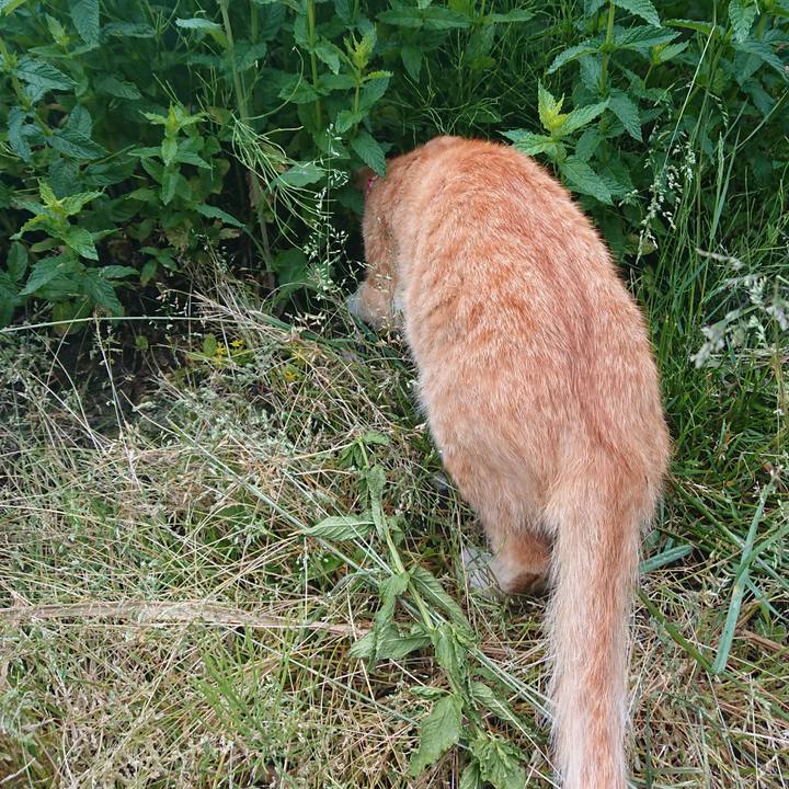 6df774ca b1d0 4abb b310 958fd59702d7 1560199842810