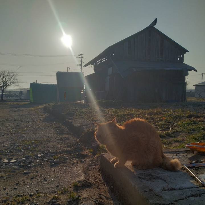 6df7a558 8348 4c1c 93d7 860d6d361812 1680474901911