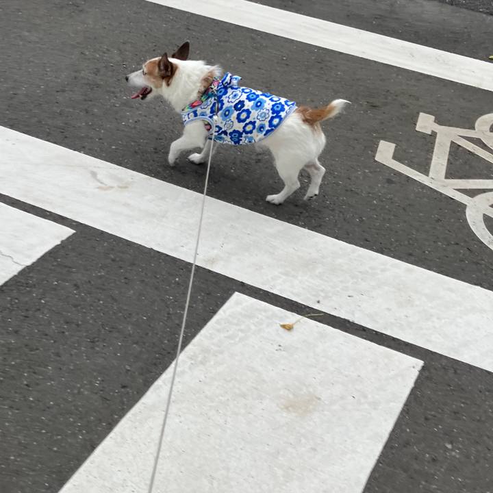 6df7c1bc 24b5 46de b391 705bb997ab08 1725754054489