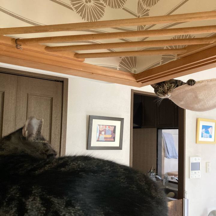 6df8077a b711 4cf3 8784 7b759df9c07b 1685189674921