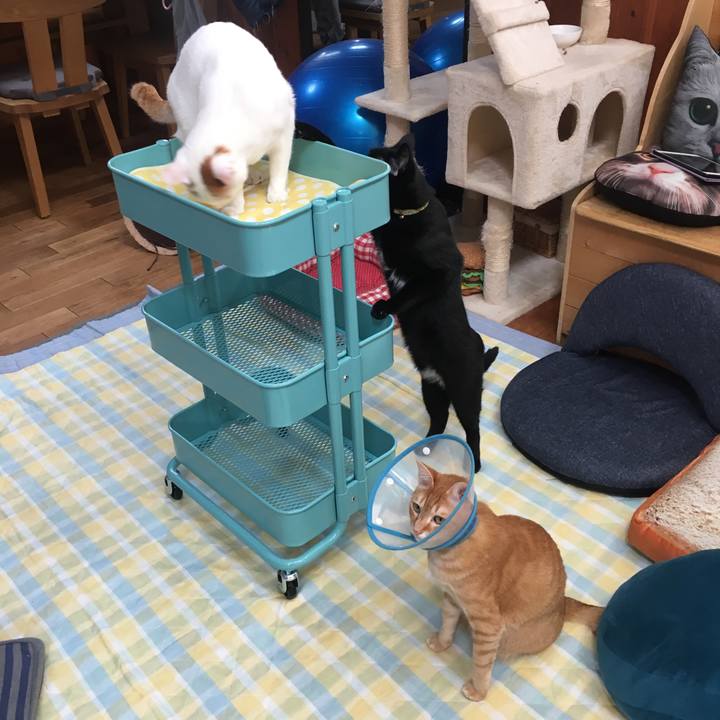 6df8224d 2f0e 4ff1 8ef1 9ceb9dbe4cd5 1525510648590