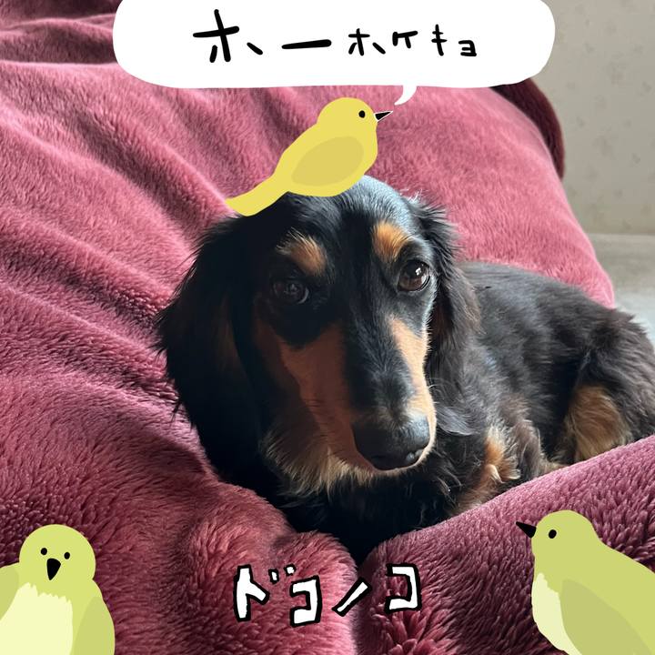 6df82bb1 a287 4b4c a97a c2e641e7314c 1711172962861