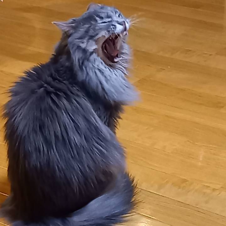 6df8434a abda 4103 b6ec 680f90a4a837 1612390768682