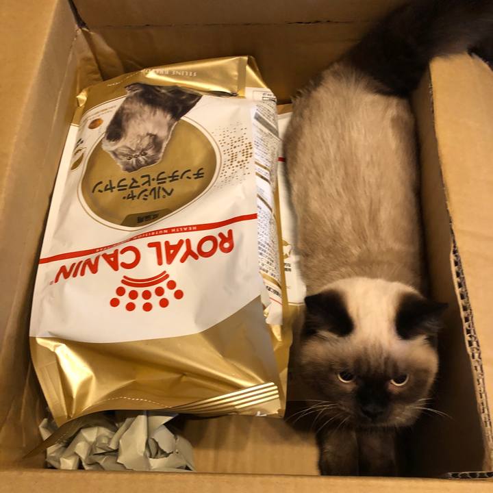 6df85d2d d667 43c3 ab1b 0429ed7c817b 1594442613008