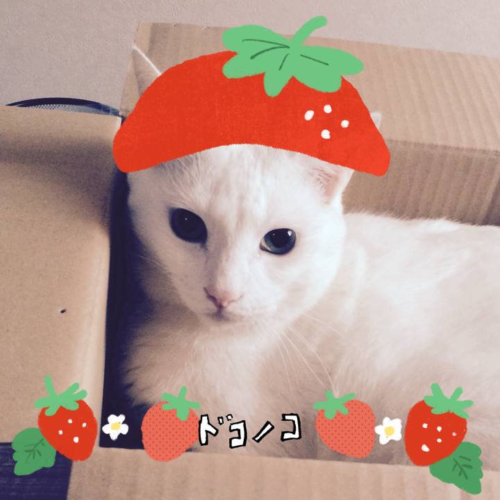 6df862f2 9e99 431d 827f 16b885ee32b2 1775510375212