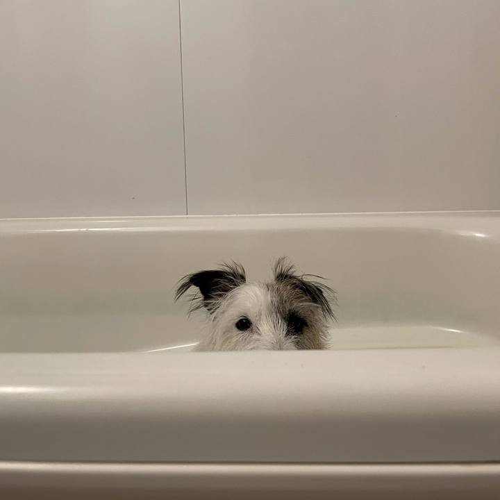 6df866eb 4494 40c5 bcaa ae3bf21e7533 1730766306102