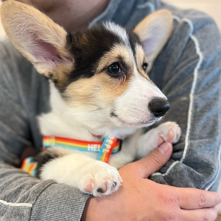 6df86959 bd00 42ff bd10 718bea46cf53 1772360744053