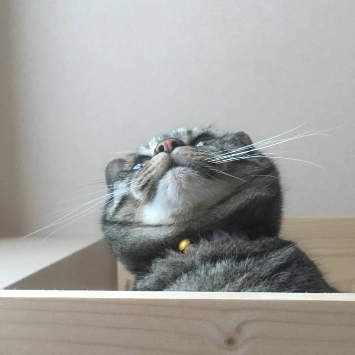 6df88984 0d46 41d2 9644 00d0a70e398e 1550808300030