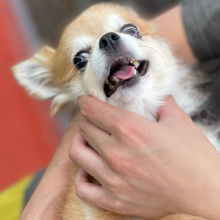 6df88a88 bb4f 4e56 bab3 75a1d6231cce 1663578068115