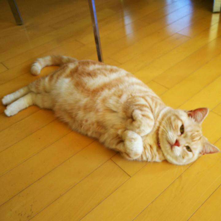 6df88af4 a75b 404c 916e e955e6e3fe05 1516766548534