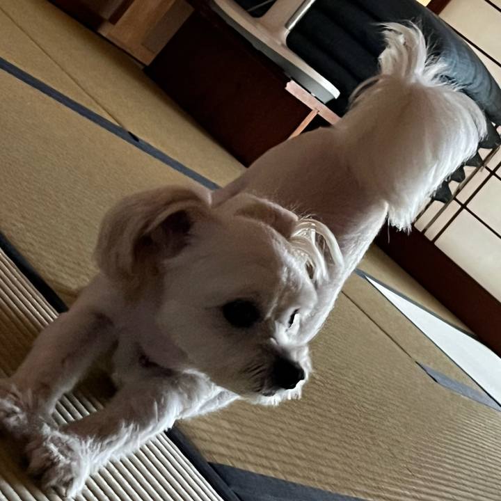 6df8935c 2fc4 4b6a 8912 f10e52077ca9 1662357185034