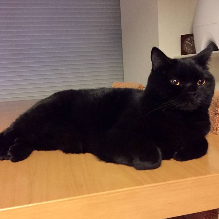 6df8a6b9 2180 4d8b a206 524c756eca23 1521895674525