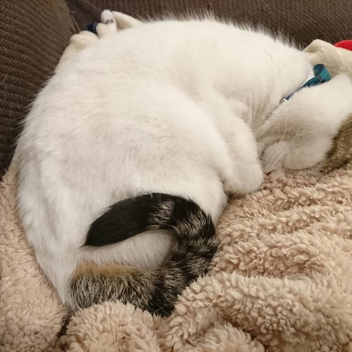 6df8b2f1 e17b 4c04 bdd6 7cc24f182877 1579019479429