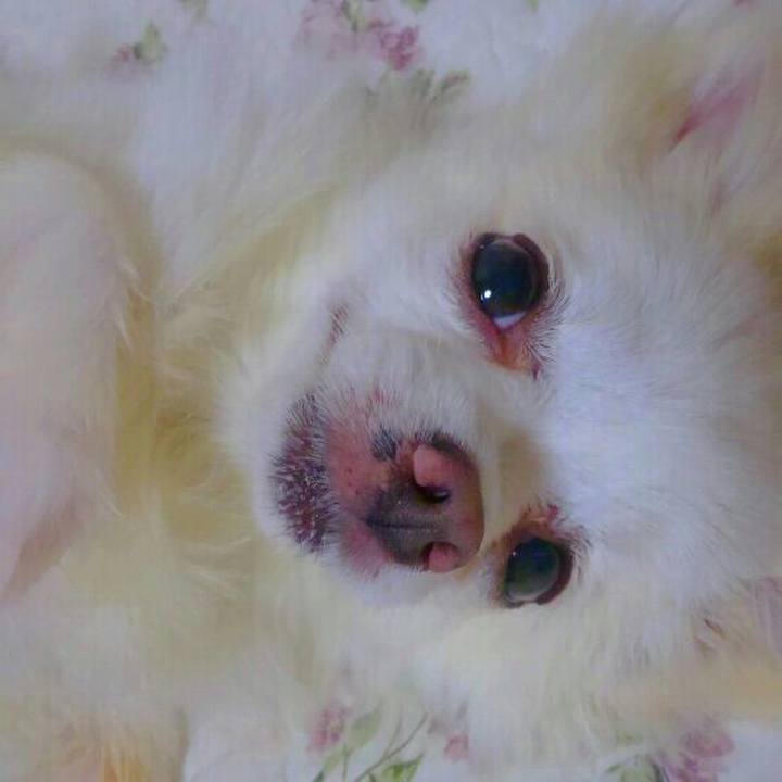 6df928ec d2b7 47db bcc7 f379a4b924c0 1530712704276