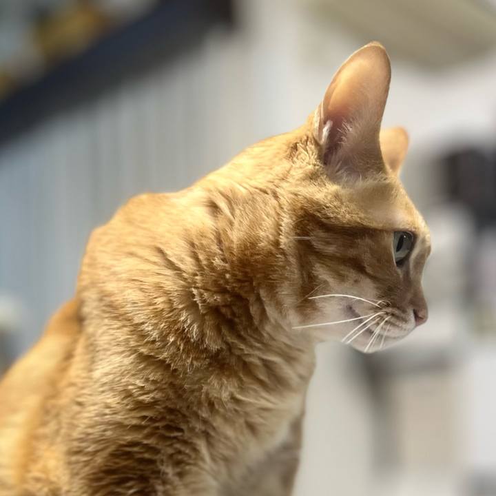 6df92efc 5db8 4f36 b7f0 972be4820899 1763101367218