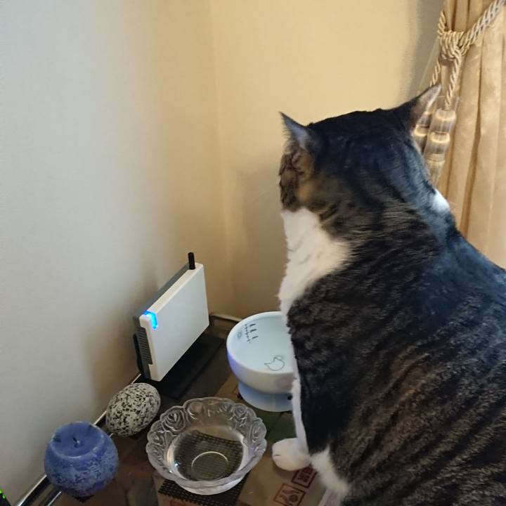 6df94574 fdcc 4614 813b 9ece57b7591c 1521501381366