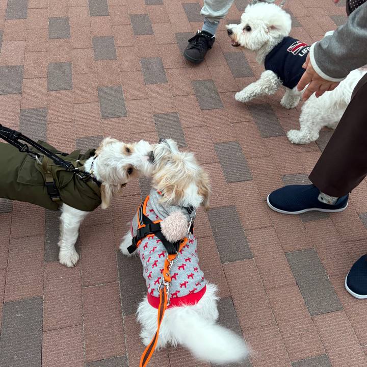 6df95089 fe9b 4d6d bd3c 7eb729d61c69 1763590259174