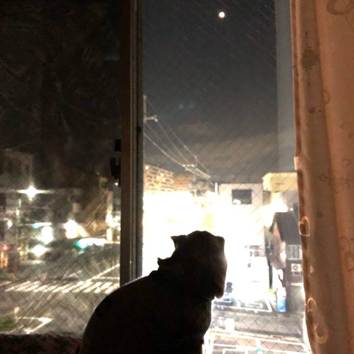 6df99b7c 66ea 4a32 975f 7dbe3964e316 1667909497183