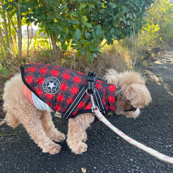 6df9fd37 3a0b 466d 9406 c986a13b1ded 1762737015748