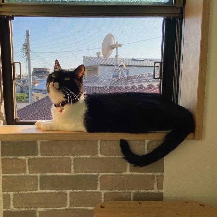 6dfa1016 120f 47f7 a475 7cb2a700af04 1685628043663