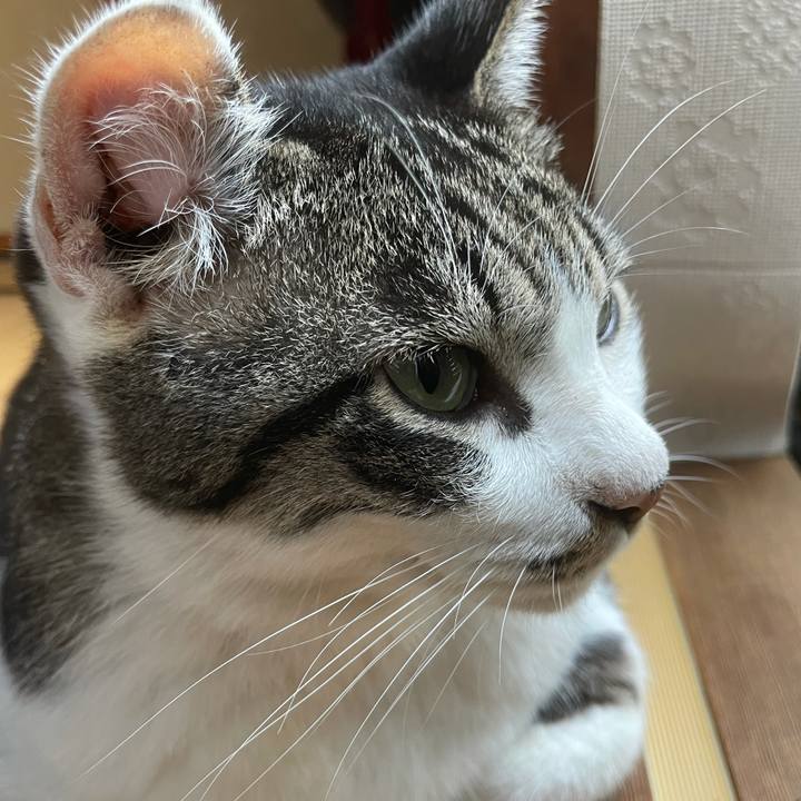 6dfa11c6 4cca 4ef1 b084 674f94c5f7c6 1631432880159