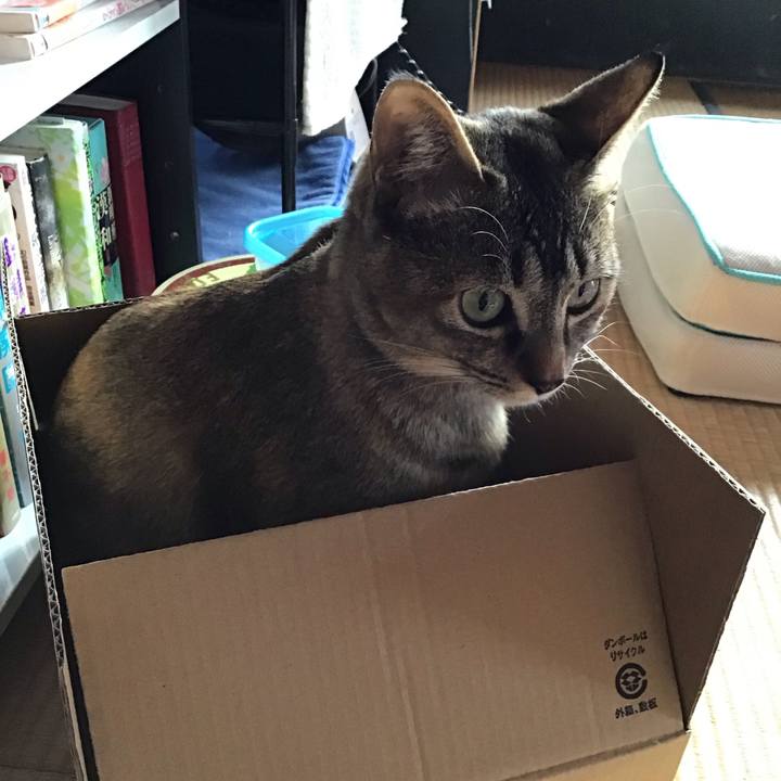 6dfa37fb e75d 4597 99bc 2458f7985982 1586651390468