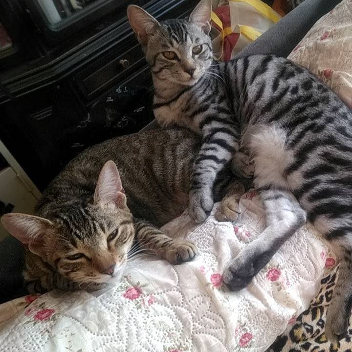 6dfa7dcb 3a49 4a3c 97c6 326edeaead50 1705144006245