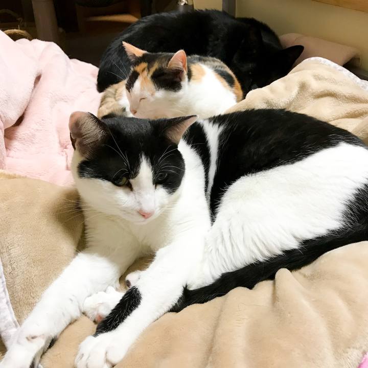 6dfa8430 6ea5 428b ad83 ac39ddb2bf1b 1512525053117