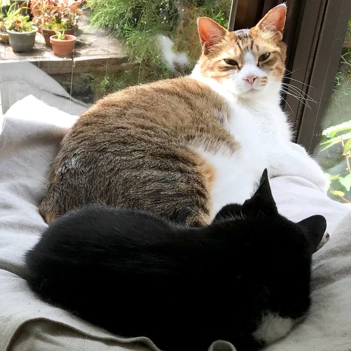 6dfa87d7 cc2d 4f07 bbdd b780cff9c714 1556677332851